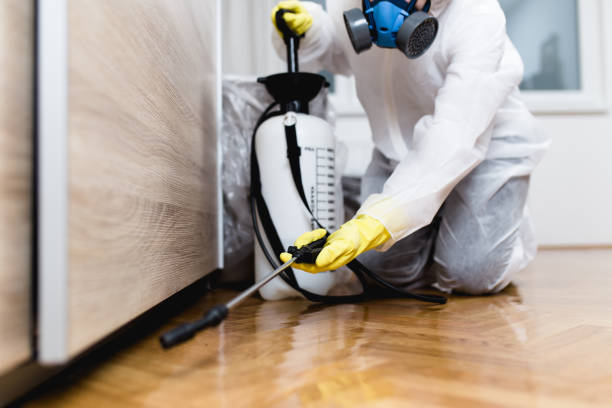 Best Commercial Pest Control Services  in Jesup, GA