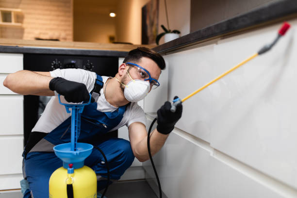 Best Affordable Pest Control Services  in Jesup, GA
