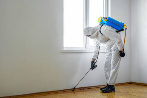 Best Flea Control Services  in Jesup, GA