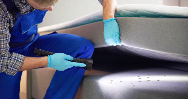 Best Pest Control Near Me in Jesup, GA