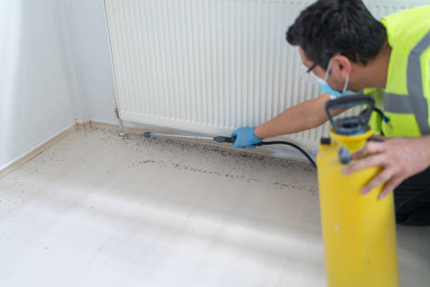 Best Wasp Removal Services  in Jesup, GA