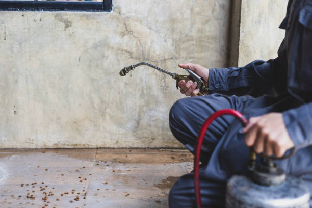 Best Pest Inspection Near Me  in Jesup, GA